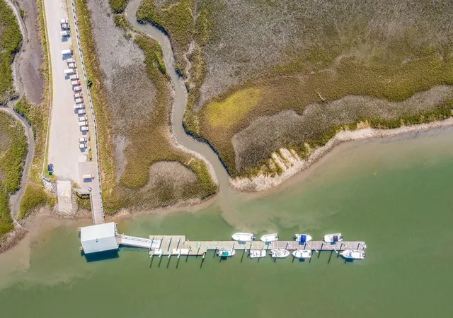 Homes for sale in Dewees Island, SC | 287 Pelican Flight Dr #Lot 14, Dewees Island, SC 29451 | MLS# 26013332