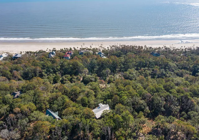 Homes for sale in Dewees Island, SC | 362 Pelican Flight Dr, Dewees Island, SC 29451 | MLS# 24028838
