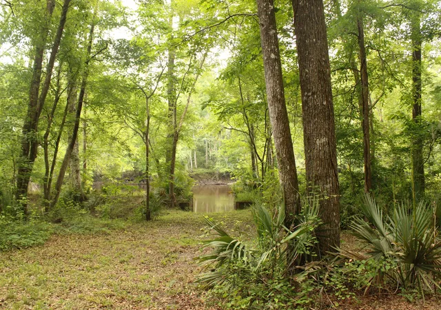 Homes for sale in Branchville, SC | 5451 Wire Rd, Branchville, SC 29432 | MLS# 26016627