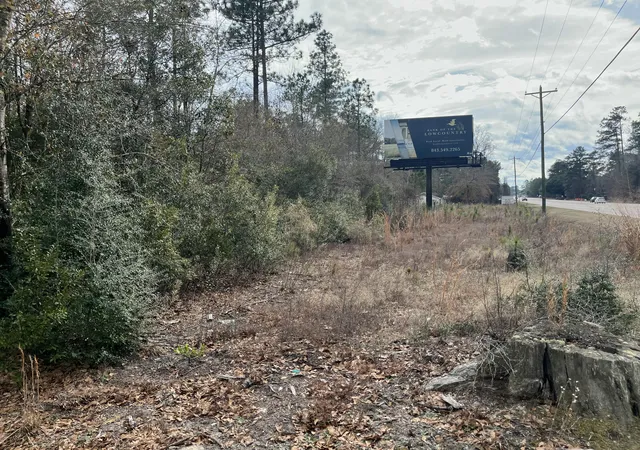 Photo 2 of Land for sale at 101 Driggers Ln, Walterboro, SC 29488 | MLS# 26004277 | Listing updated on 2026-06-19