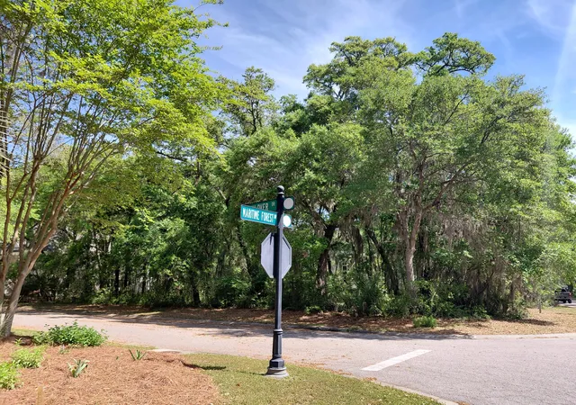 Photo 3 of Land for sale at 3003 Maritime Forest Dr, Johns Island, SC 29455 | MLS# 26010103 | Listing updated on 2026-09-04