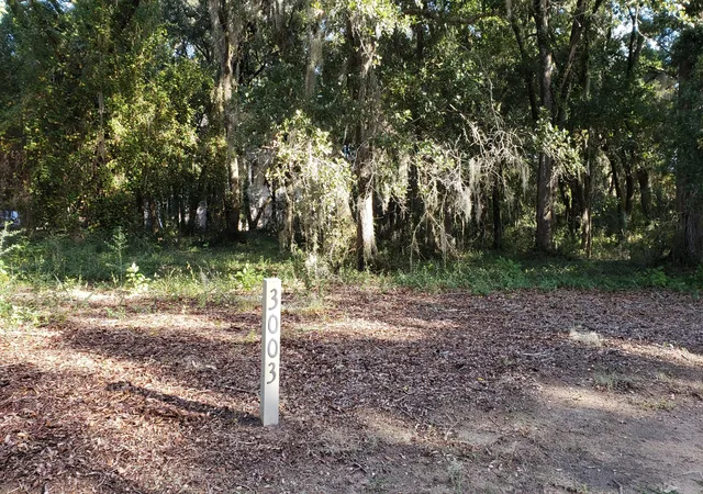 Photo 3 of Land for sale at 3003 Maritime Forest Dr, Johns Island, SC 29455 | MLS# 26010103 | Listing updated on 2026-09-04