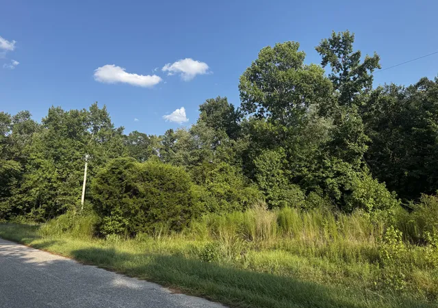 2nd image of 31 Gaines Cir, Cottageville, SC 29435 | MLS# 26021669