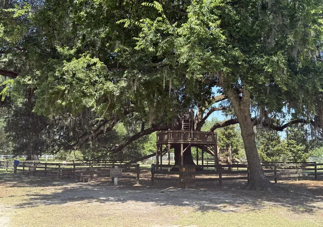4th image of 235 Lotz Dr, Summerville, SC 29483 | MLS# 26019040