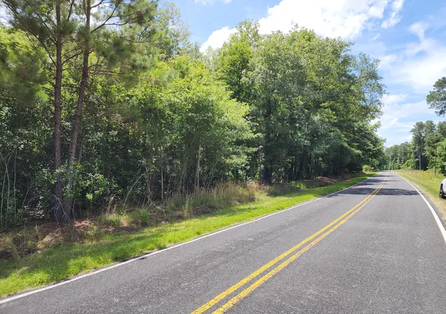 Photo 3 of Land for sale at 019 Thomas Kate Rd, Dorchester, SC 29437 | MLS# 26012054 | Listing updated on 2026-08-31