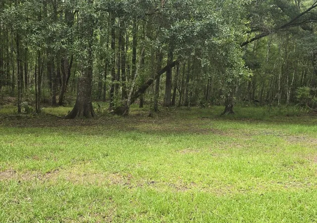 Photo 3 of Land for sale at 6210 Smoak Retreat Rd, Adams Run, SC 29426 | MLS# 26021437 | Listing updated on 2026-08-12