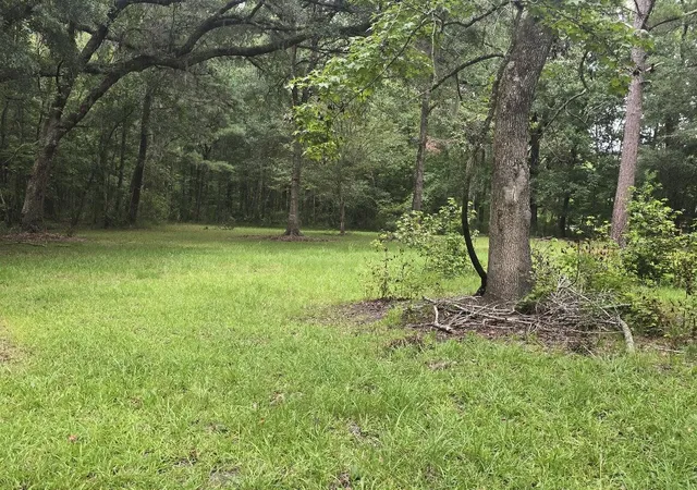 Photo 3 of Land for sale at 6210 Smoak Retreat Rd, Adams Run, SC 29426 | MLS# 26021437 | Listing updated on 2026-08-12