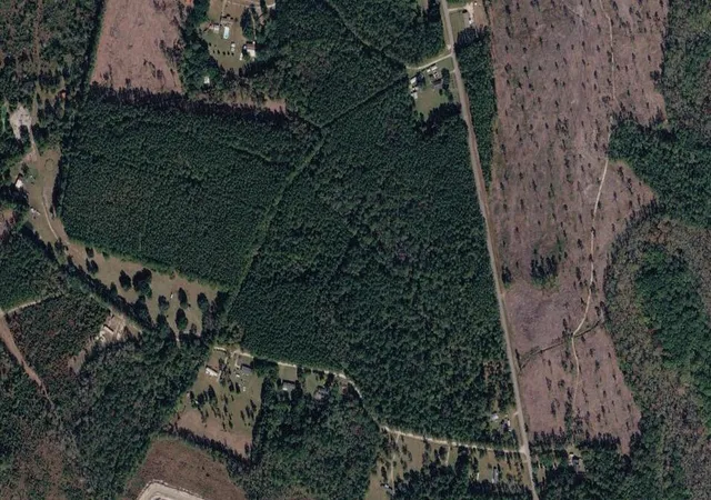 16th image of 0 Peirce Rd, Ridgeville, SC 29472 | MLS# 26022750