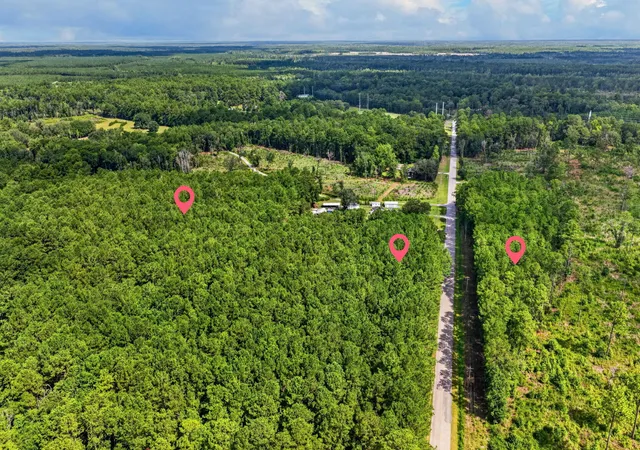 2nd image of 0 Peirce Rd, Ridgeville, SC 29472 | MLS# 26022750