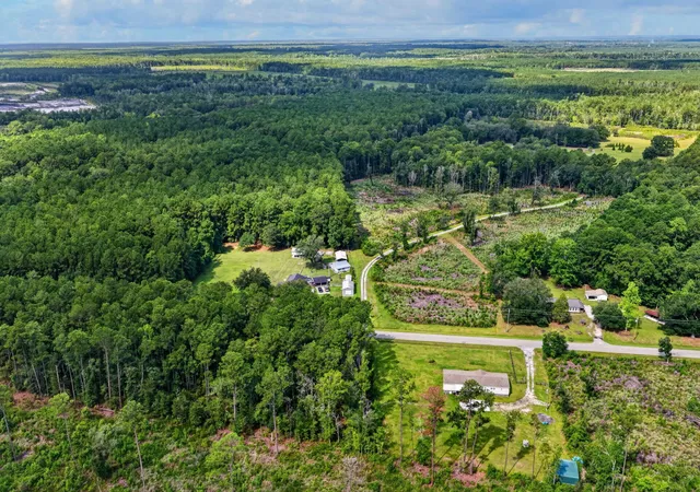 3rd image of 0 Peirce Rd, Ridgeville, SC 29472 | MLS# 26022750
