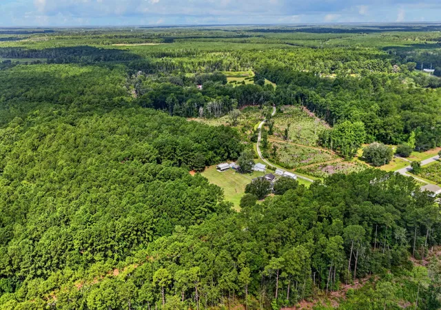 4th image of 0 Peirce Rd, Ridgeville, SC 29472 | MLS# 26022750