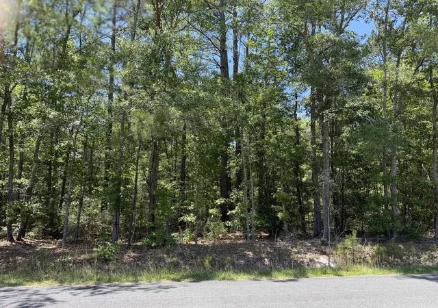 Photo 1 of Land for sale at 0 Hideaway Dr, Ridgeville, SC 29472 | MLS# 26013997 | Listing updated on 2026-05-15