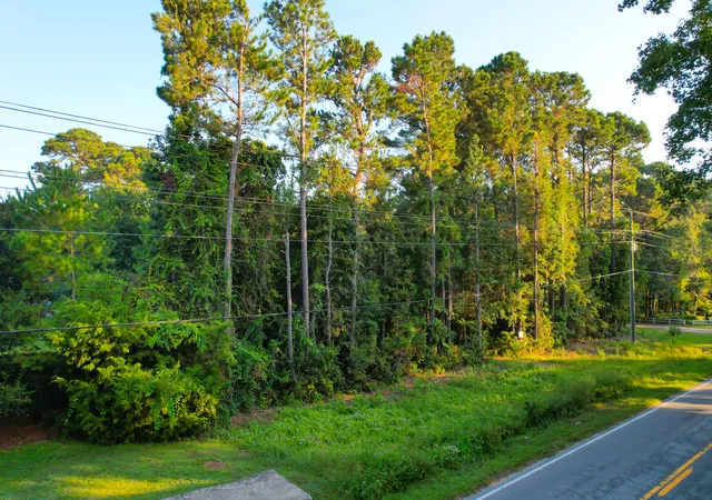 1st image of 0 Rifle Range Rd #(Lot 1), Mount Pleasant, SC 29466 | MLS# 25027580