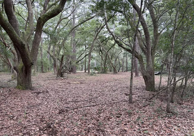 Photo 1 of Land for sale at 1470 Marsh Blf Ct, Edisto Island, SC 29438 | MLS# 26017792 | Listing updated on 2026-08-20