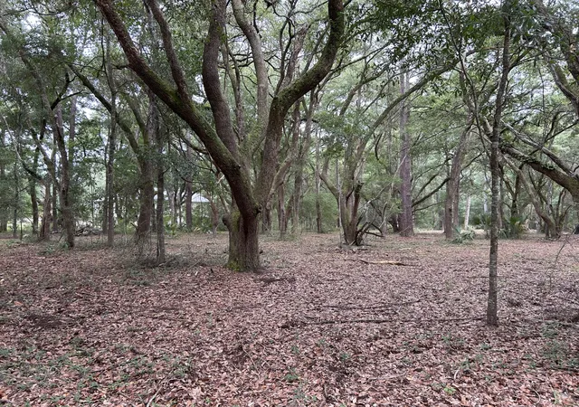 Photo 5 of Land for sale at 1470 Marsh Blf Ct, Edisto Island, SC 29438 | MLS# 26017792 | Listing updated on 2026-08-20