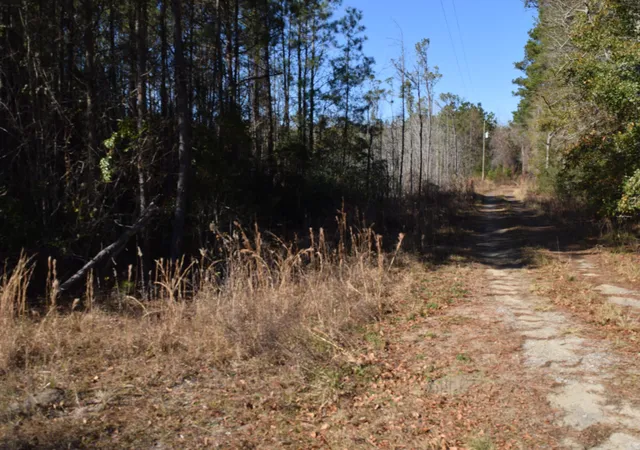1st image of 0 Black Tom Rd, Moncks Corner, SC 29461 | MLS# 25001690