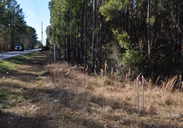 2nd image of 0 Black Tom Rd, Moncks Corner, SC 29461 | MLS# 25001690