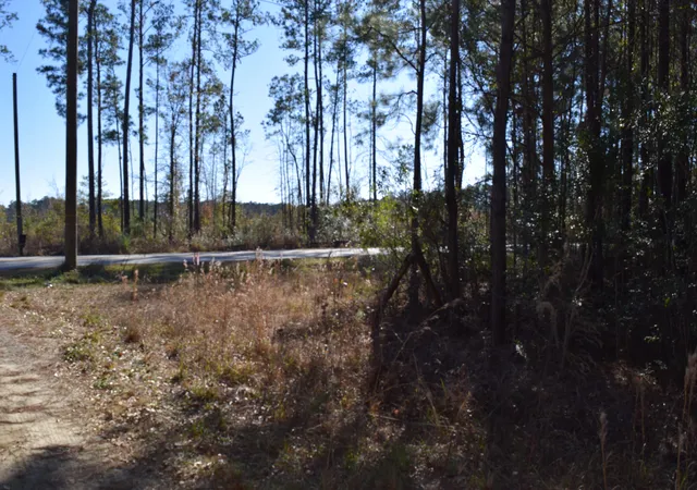 3rd image of 0 Black Tom Rd, Moncks Corner, SC 29461 | MLS# 25001690