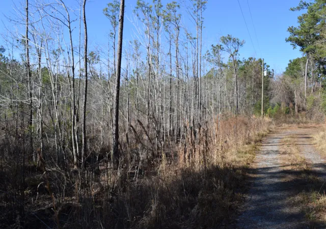 4th image of 0 Black Tom Rd, Moncks Corner, SC 29461 | MLS# 25001690