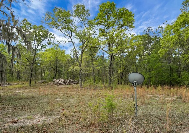 Photo 3 of Land for sale at 202 Belmont Dr, Walterboro, SC 29488 | MLS# 26014293 | Listing updated on 2026-09-04