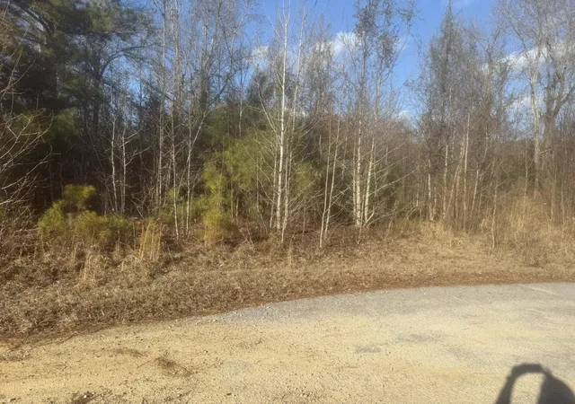 Photo 2 of Land for sale at 000 Flake Rd, Orangeburg, SC 29115 | MLS# 26002376 | Listing updated on 2026-06-29