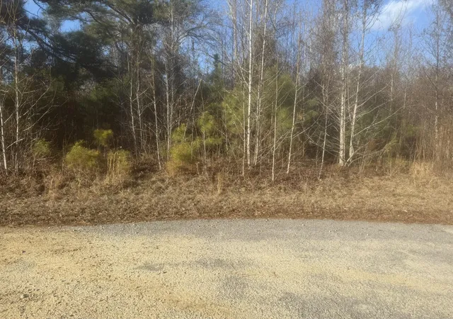 Photo 3 of Land for sale at 000 Flake Rd, Orangeburg, SC 29115 | MLS# 26002376 | Listing updated on 2026-06-29