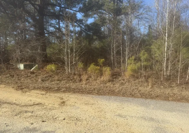 Photo 3 of Land for sale at 000 Flake Rd, Orangeburg, SC 29115 | MLS# 26002376 | Listing updated on 2026-06-29