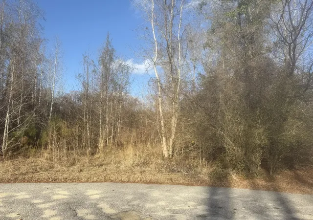 Photo 4 of Land for sale at 000 Flake Rd, Orangeburg, SC 29115 | MLS# 26002376 | Listing updated on 2026-06-29