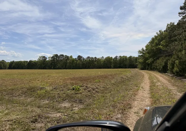 2nd image of 0 Cottage Ln, Saint Stephen, SC 29479 | MLS# 26011963