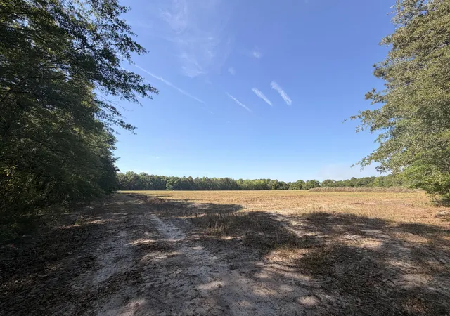 3rd image of 0 Cottage Ln, Saint Stephen, SC 29479 | MLS# 26011963