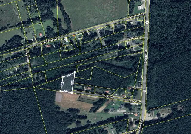 Homes for sale in Ridgeville, SC | 0 Way Hall Ln, Ridgeville, SC 29472 | MLS# 26013379