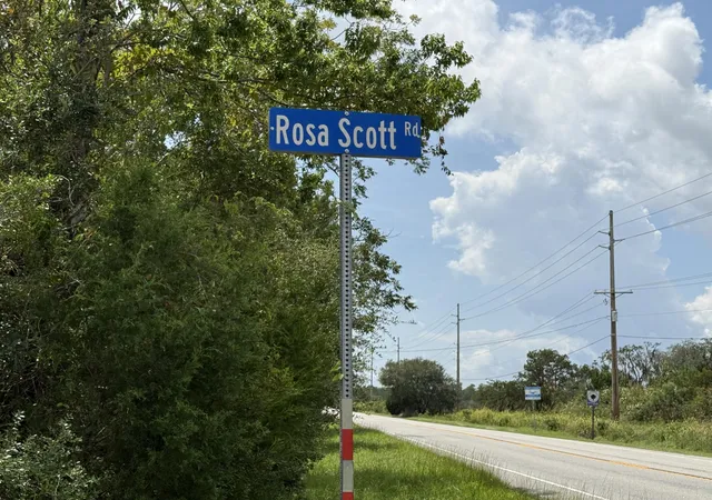 Photo 68 of Single family home for sale at 8176 Rosa Scott Rd, Edisto Island, SC 29438 | MLS# 26024425 | Listing updated on 2026-10-06