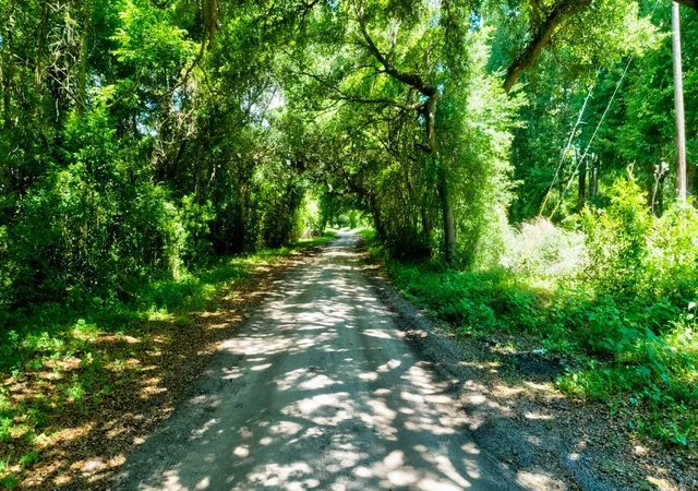 Photo 3 of Land for sale at 000 Arsburn Rd, Charleston, SC 29412 | MLS# 26019553 | Listing updated on 2026-07-08