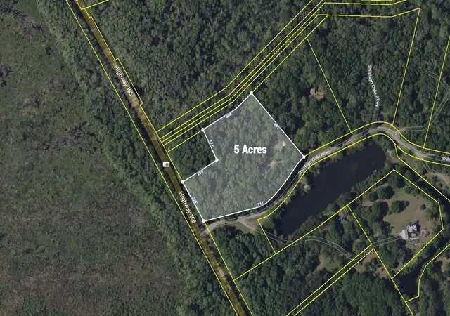 Homes for sale in Ravenel, SC | 6370 Shilelagh Oaks Pkwy, Ravenel, SC 29470 | MLS# 26003672