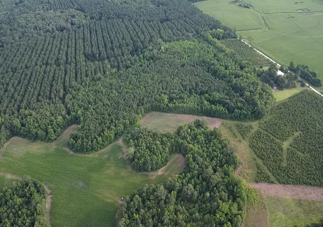 Photo 3 of Land for sale at 0 Gum St, Holly Hill, SC 29059 | MLS# 26018491 | Listing updated on 2026-06-27