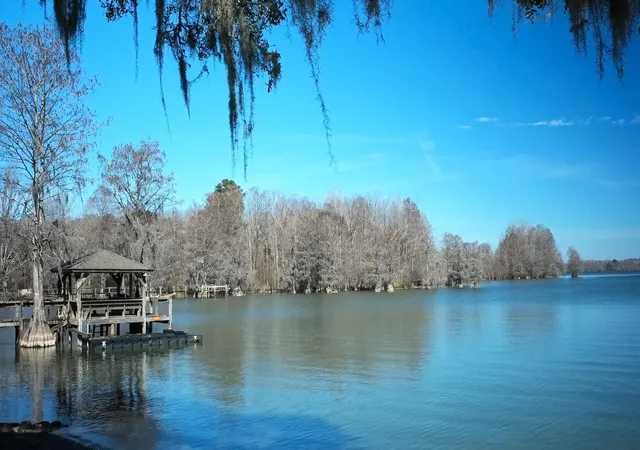 Photo 2 of Single family home for sale at 1093 Mulligan Dr, Manning, SC 29102 | MLS# 26023793 | Listing updated on 2026-08-21