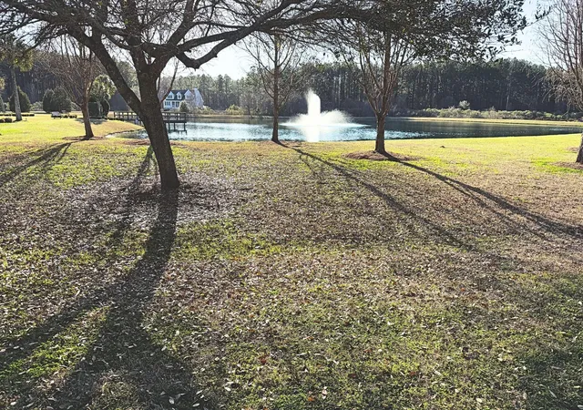 33rd image of 1321 Wood Sorrel Dr, Moncks Corner, SC 29461 | MLS# 26010243