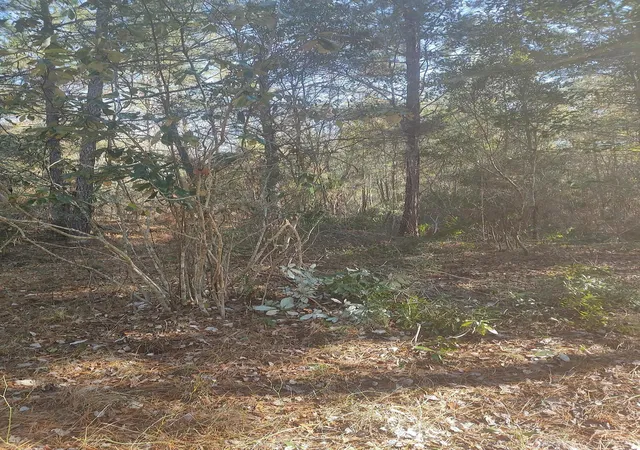 Photo 2 of Land for sale at Misty Ridge Ln, Walterboro, SC 29488 | MLS# 26023799 | Listing updated on 2026-09-22