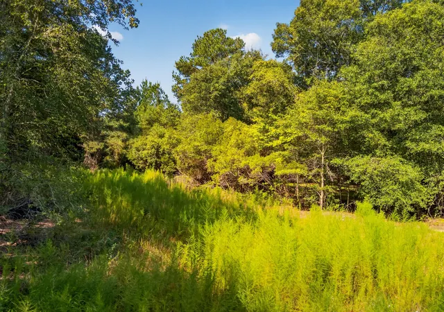 Photo 3 of Land for sale at Misty Ridge Ln, Walterboro, SC 29488 | MLS# 26023799 | Listing updated on 2026-09-22