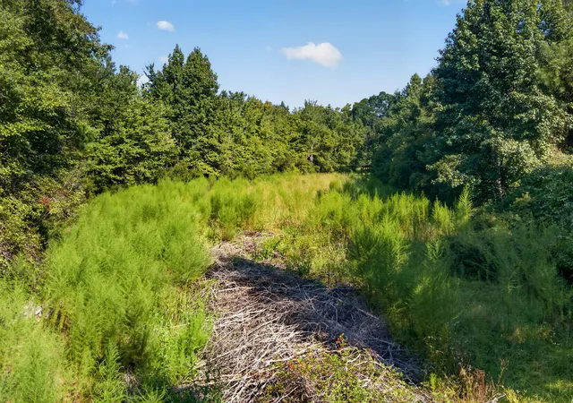 Photo 3 of Land for sale at - Misty Ridge Ln, Walterboro, SC 29488 | MLS# 26023799 | Listing updated on 2026-09-22