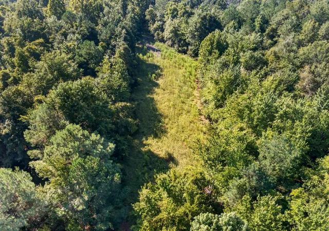Photo 4 of Land for sale at - Misty Ridge Ln, Walterboro, SC 29488 | MLS# 26023799 | Listing updated on 2026-09-22