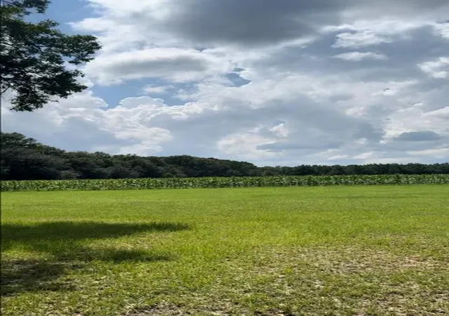 Photo 4 of Land for sale at 0 Richardson St, Cross, SC 29436 | MLS# 26013868 | Listing updated on 2026-09-17