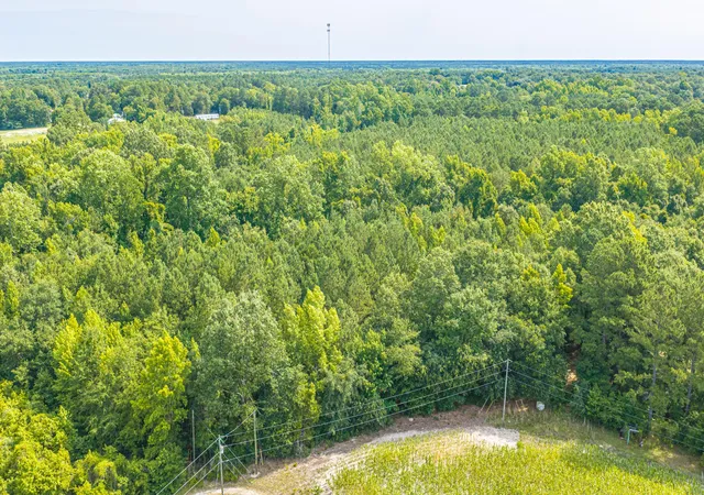 3rd image of 0 Leviticus Lots D-1 And D-2 Ln, Pineville, SC 29468 | MLS# 26018612
