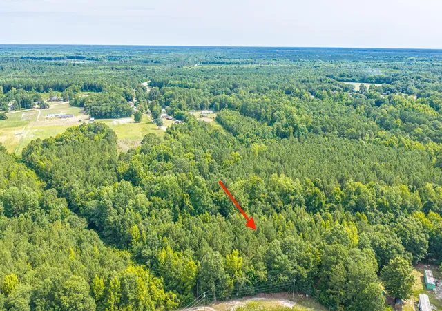 41st image of 0 Leviticus Lots D 1 And D 2 Ln, Pineville, SC 29468 | MLS# 26018612