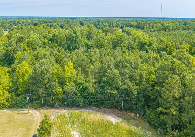 5th image of 0 Leviticus Lots D-1 And D-2 Ln, Pineville, SC 29468 | MLS# 26018612