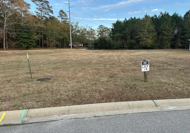Land for sale at 111 Sago Palm Dr, Orangeburg, SC 29118 | MLS# 26000372