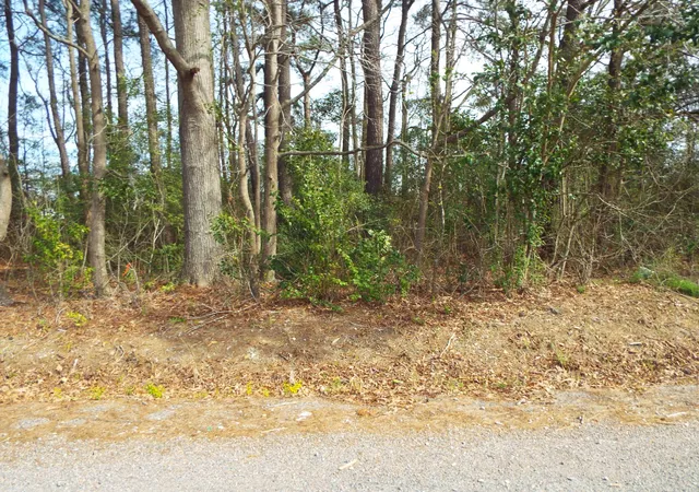 Photo 2 of Land for sale at 0 Dennis Dr #26, Goose Creek, SC 29445 | MLS# 24005156 | Listing updated on 2024-08-22