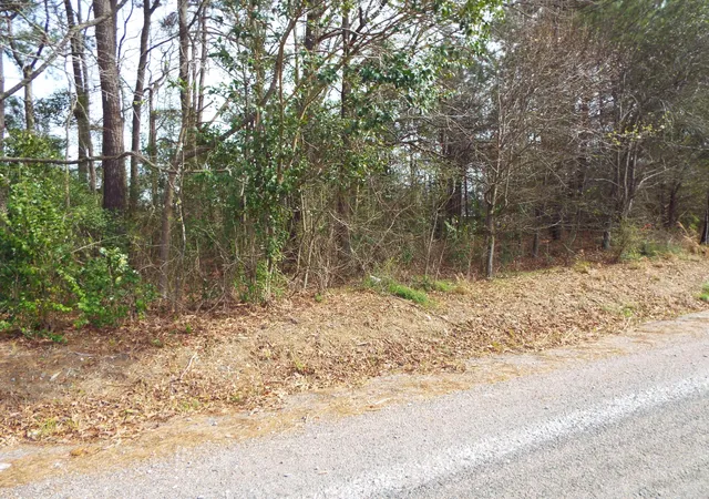 Photo 3 of Land for sale at 0 Dennis Dr #26, Goose Creek, SC 29445 | MLS# 24005156 | Listing updated on 2024-08-22
