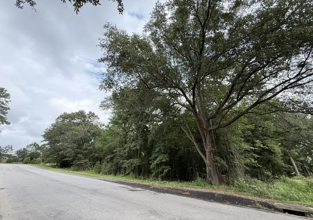 Homes for sale in Barnwell, SC | 0000 Live Oak Ln, Barnwell, SC 29812 | MLS# 25031881