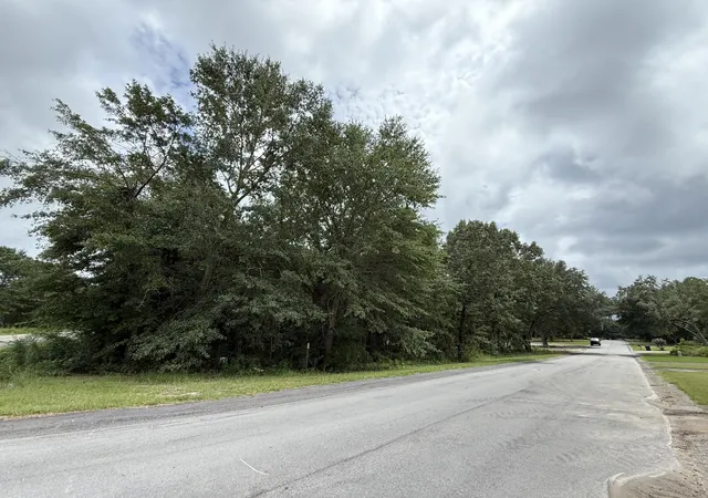 Homes for sale in Barnwell, SC | 0000 Live Oak Ln, Barnwell, SC 29812 | MLS# 25031881